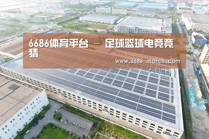 案例展示二