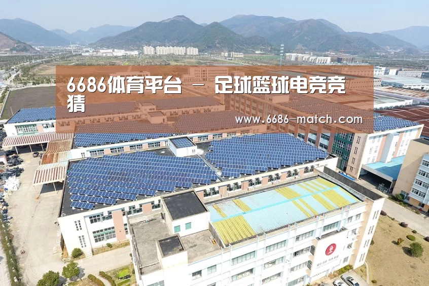 案例展示一