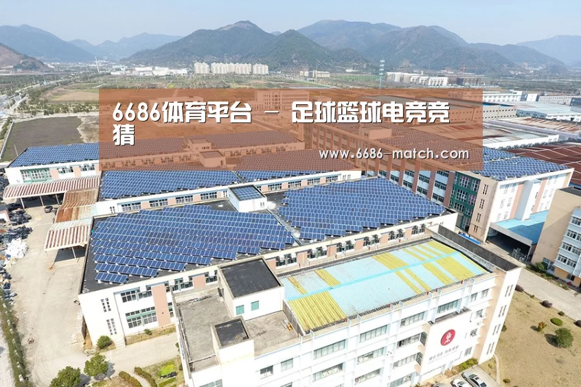 案例展示四
