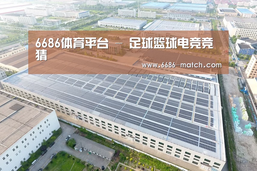 案例展示二