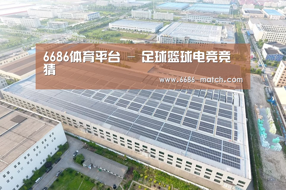 案例展示三