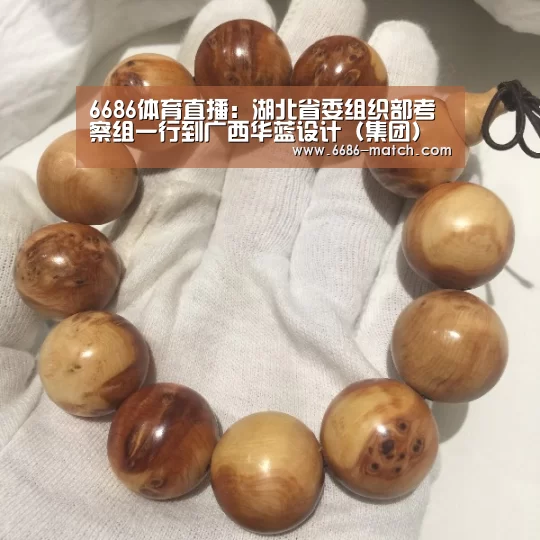 6686官网